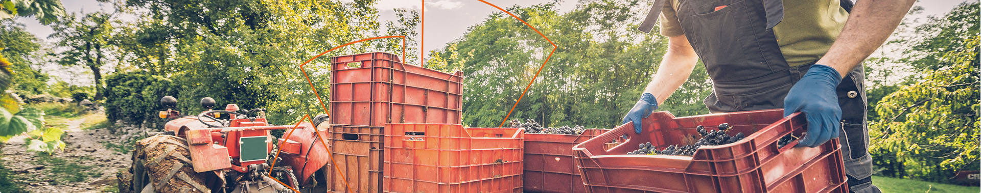 Financiación Olivar de Unicaja